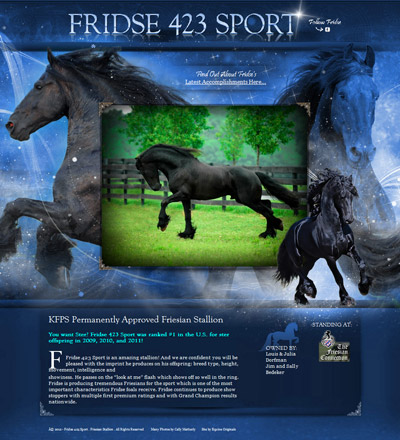 Fridse 423 Sport - KFPS Permanently Approved Friesian Stallion