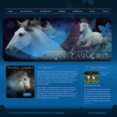 Andalusian Stallion: Dylan Casimoro